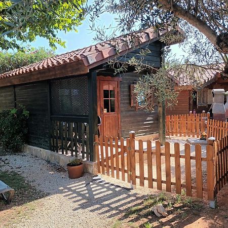 Villa Entre Viejos Olivos à Benicolet Extérieur photo