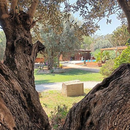 Villa Entre Viejos Olivos à Benicolet Extérieur photo