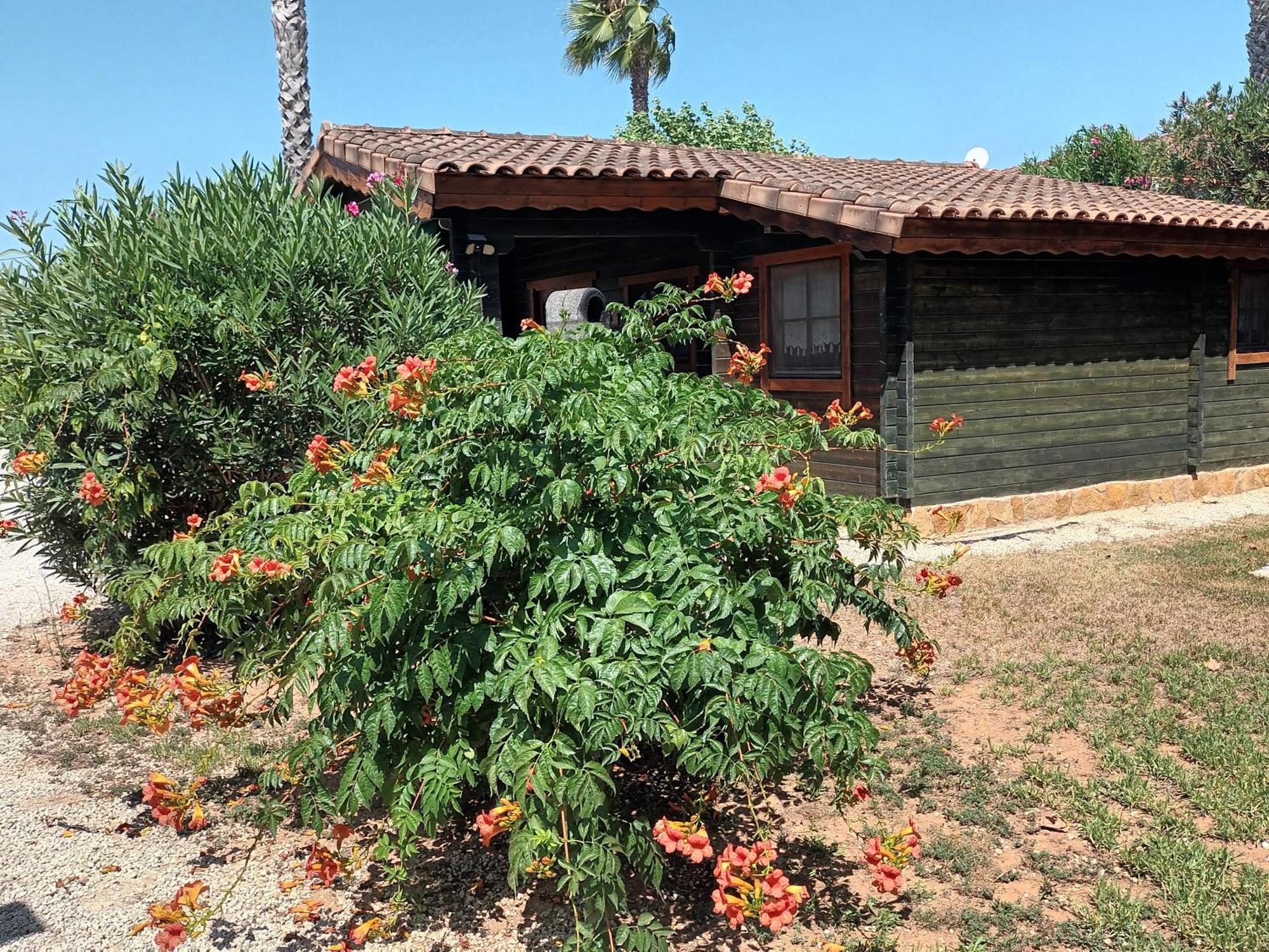 Villa Entre Viejos Olivos à Benicolet Extérieur photo