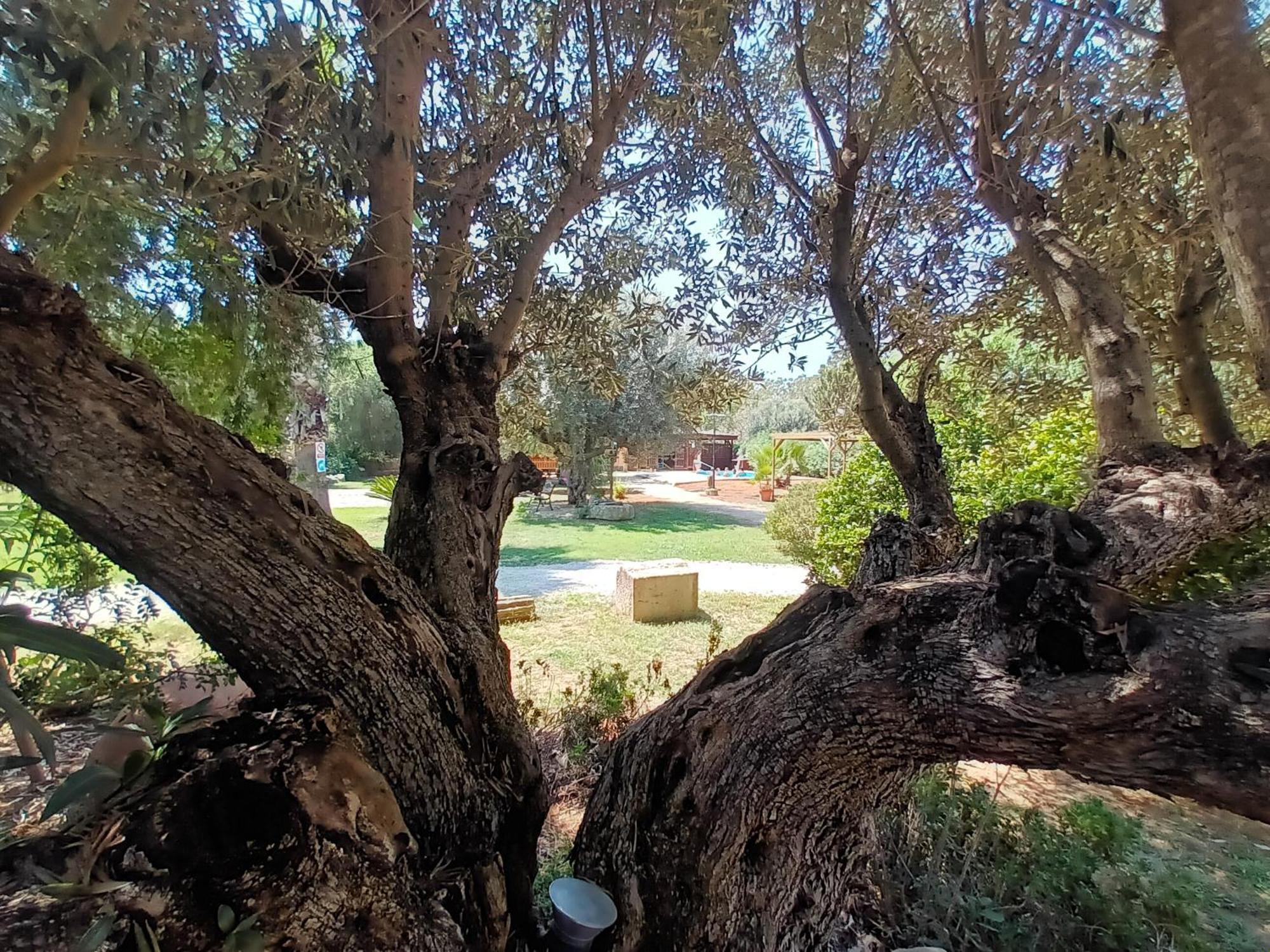 Villa Entre Viejos Olivos à Benicolet Extérieur photo